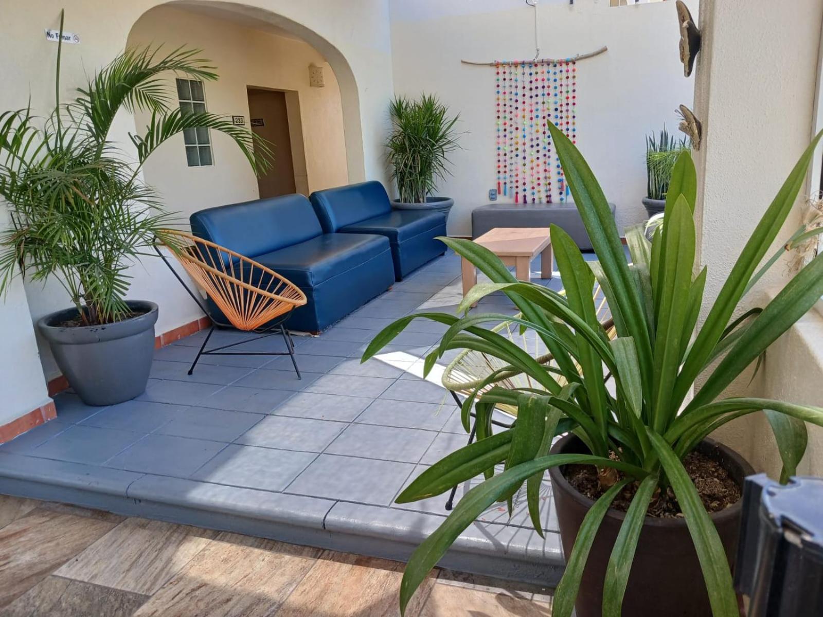 Suites Las Palmas San Jose del Cabo Exterior photo